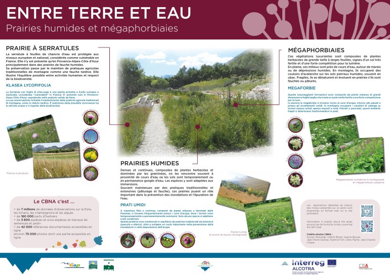 image les_mgaphorbiaies_prairies_humides_et_serratulespage001.jpg (2.3MB)