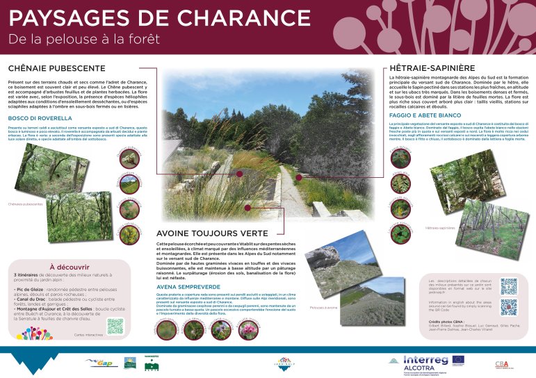 image paysage_de_Charancepage001.jpg (2.5MB)