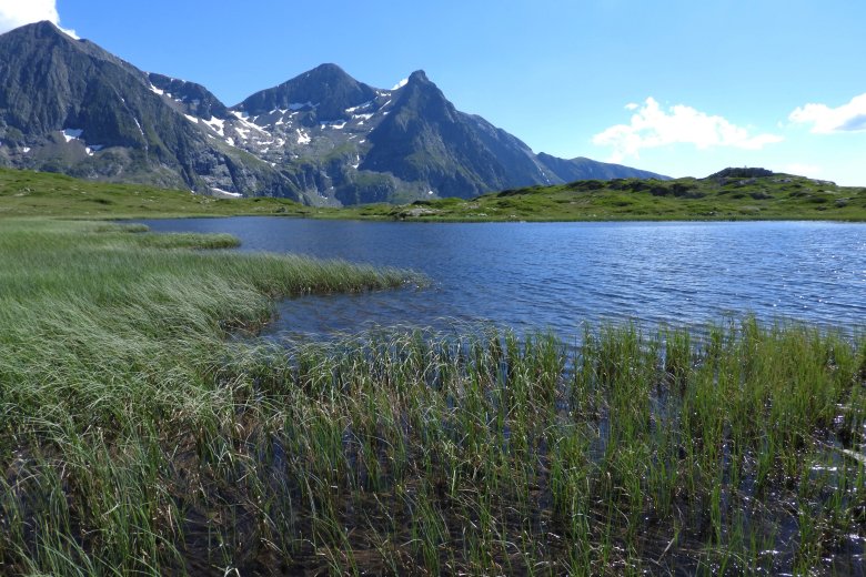 image F1004_JCV_6.jpg (8.5MB)