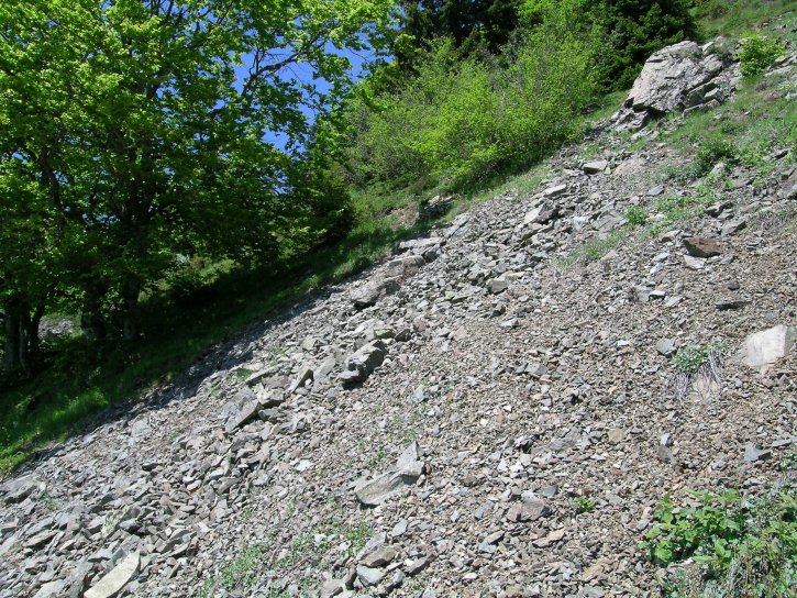 image F0409_JCV_2.jpg (2.2MB)