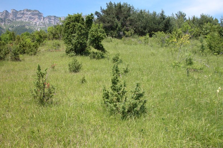 image F1601_JCV_3.jpg (3.7MB)