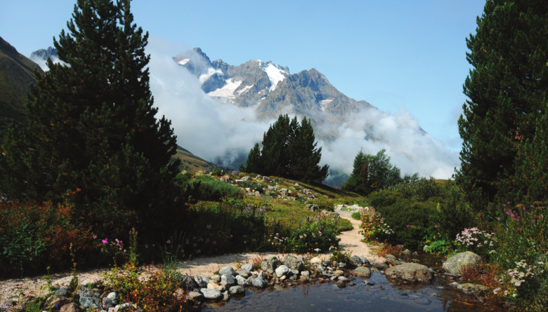 image Lautaret.png (1.8MB)
Lien vers: https://www.jardinalpindulautaret.fr/accueil