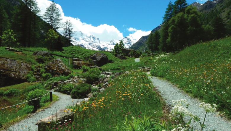 image Paradisia.png (2.0MB)
Lien vers: http://www.pngp.it/visita-il-parco/giardino-botanico-alpino-paradisia