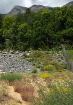 image P6160219.jpg (5.3MB)