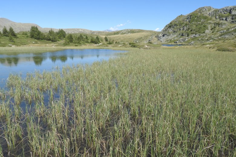 image F1004_JCV_7.jpg (8.6MB)