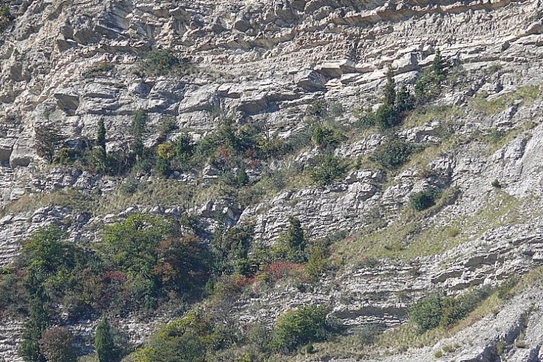 image Paroi_1_prsentation_milieu_paroi_genevriers.jpg (0.6MB)