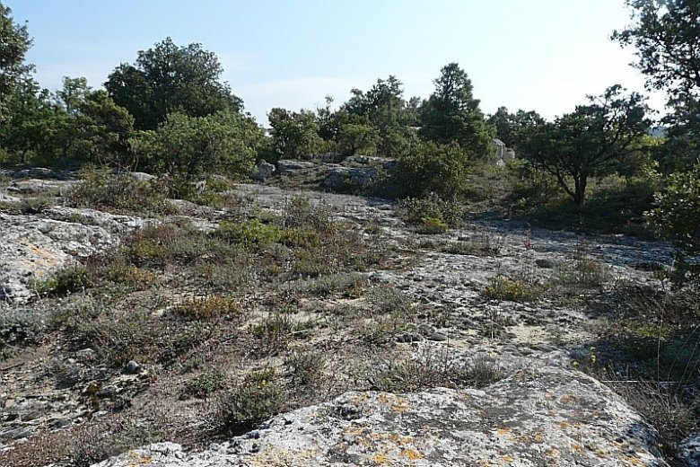 image dalle_1_prsentation_milieur.jpg (0.5MB)