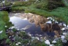StazioniBotanicheAlpine_vignette_stazionibotanichealpine_laghetto-staz-dre.jpg